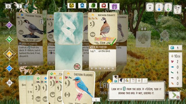 Hình ảnh trong game Wingspan v1.7.1146-P2P