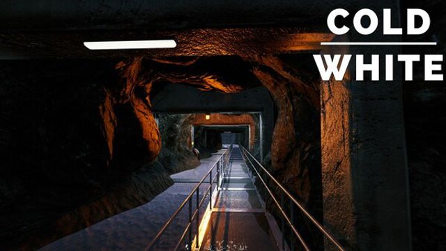 Hình ảnh trong game The Cold White-TENOKE