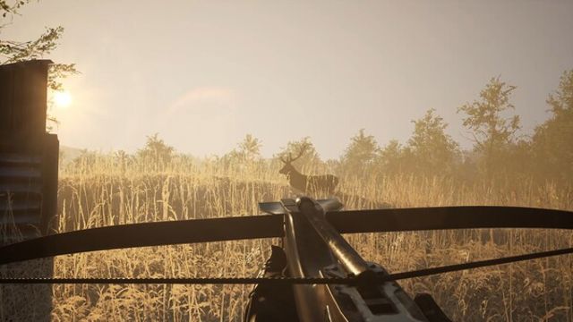 Hình ảnh trong game Sword and Shield Simulator Early Access
