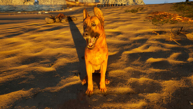 Hình ảnh trong game Restore Your Island-GoldBerg