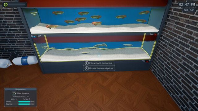 Hình ảnh trong game Exotica 2 Pet Shop Simulator-TENOKE
