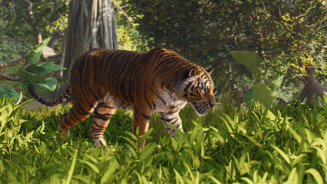 Hình ảnh trong game Planet Zoo 2 v1.0.7.1031590 HYPERVISOR-P2P
