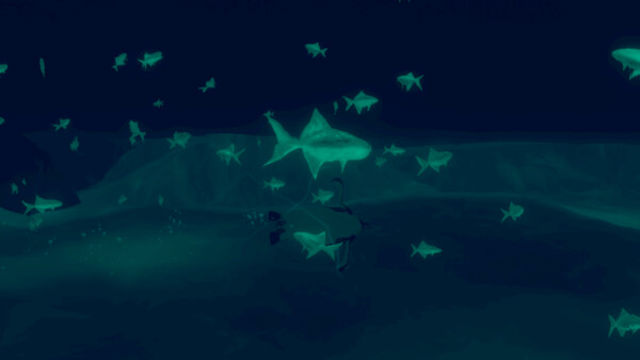 Hình ảnh trong game Penguin Colony-GoldBerg
