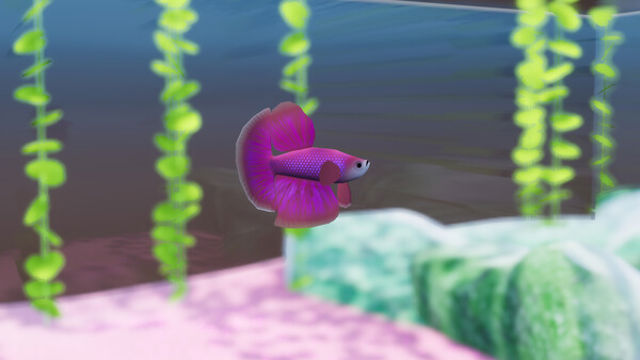 Hình ảnh trong game Fish Game Betta Fish Pack 1-TENOKE