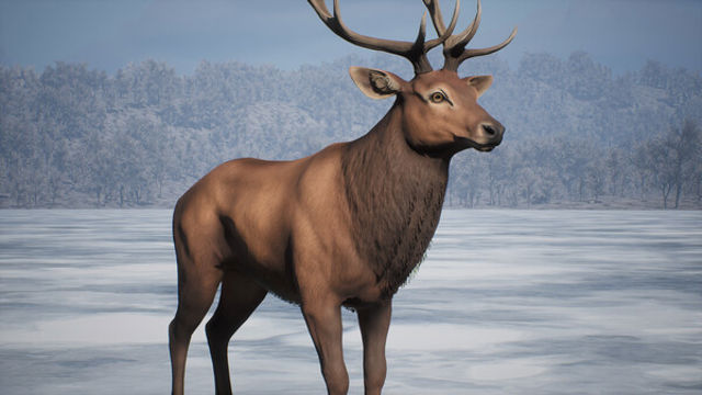 Hình ảnh trong game PROJECT HUNT MANCHURIAN TAIGA-TENOKE