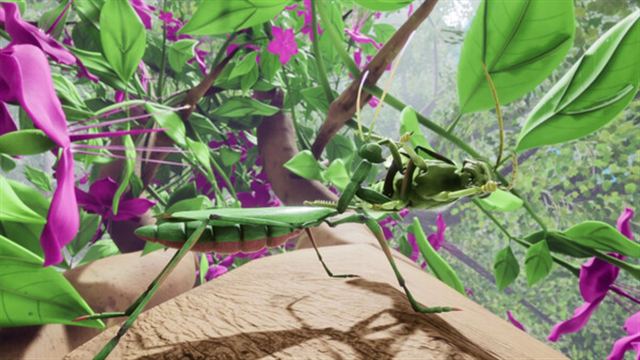 Hình ảnh trong game Nature And Life Drunk On Nectar v1.0.4.3-P2P
