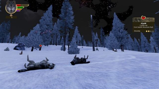 Hình ảnh trong game WolfQuest Anniversary Edition v3.0.1k-P2P