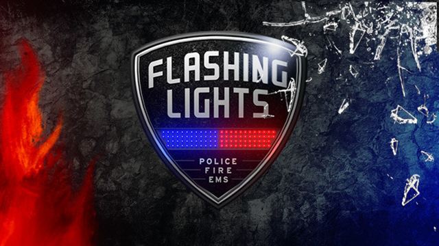 Tải game Flashing Lights v20240709-P2P Tải game Flashing Lights v20240709-P2P
